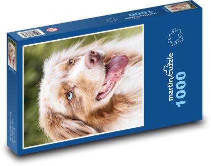 Głowa psa - Collie - Puzzle 1000 elementów, rozmiar 60x46 cm