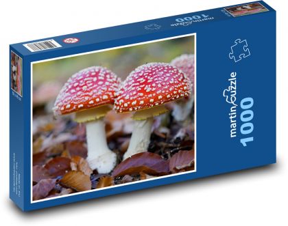 Autumn toadstool red - Puzzle 1000 pieces, size 60x46 cm 