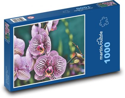 Rose orchid flowers - Puzzle 1000 pieces, size 60x46 cm 