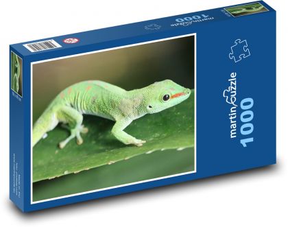 Green gecko - Puzzle 1000 pieces, size 60x46 cm 