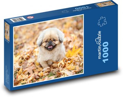 Malý pejsek na podzimním listí - puzzle 1000 dílků