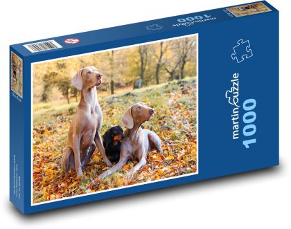 Dachshund in the company of hunting poachers - Puzzle 1000 pieces, size 60x46 cm 