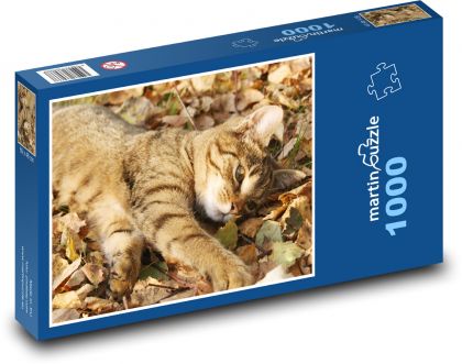 Eine ummauerte Katze liegt in Blättern - Puzzle - 1000 Teile