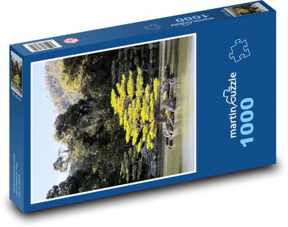 Drzewa na powierzchni wody - Puzzle 1000 elementów, rozmiar 60x46 cm