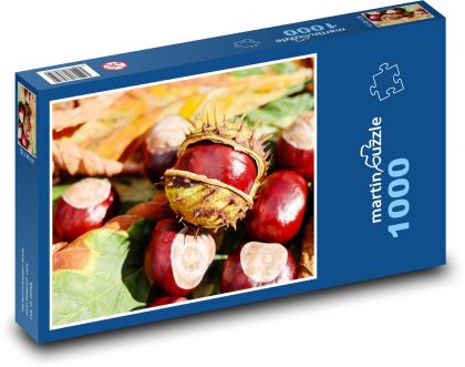 Symbol jesieni - kasztan - Puzzle 1000 elementów, rozmiar 60x46 cm
