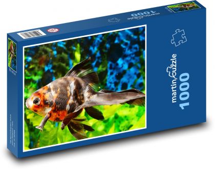 Akvarijné ryby v akváriu - Puzzle 1000 dielikov, rozmer 60x46 cm