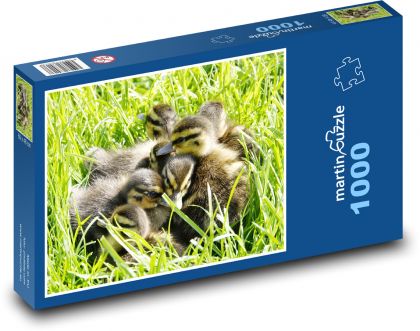 Mláďata vodních ptáků - puzzle 1000 dílků