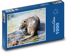 Divoký muskrat v mokrade Puzzle 1000 dielikov - 60 x 46 cm 