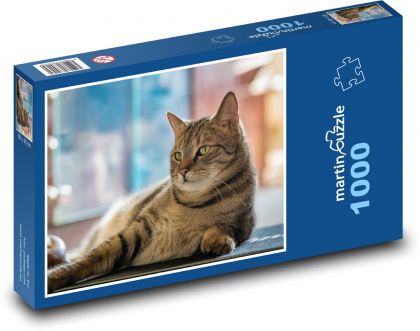 Domáca mačka - Puzzle 1000 dielikov, rozmer 60x46 cm