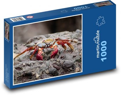 Kolorowy krab na kamieniach wulkanicznych - Puzzle 1000 elementów, rozmiar 60x46 cm