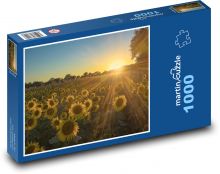 Slnko nad slnečnicovým poľom Puzzle 1000 dielikov - 60 x 46 cm 