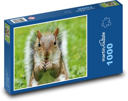 Urocza wiewiórka z orzechem - Puzzle 1000 elementów, rozmiar 60x46 cm