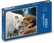Löwe und Löwin Puzzle 1000 Teile - 60 x 46 cm