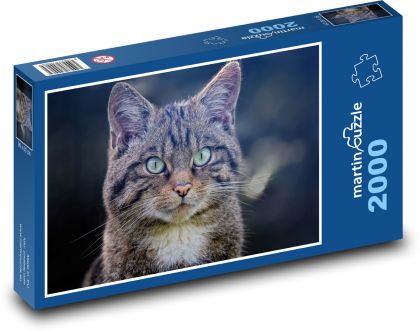 Scottish Wildcat - Puzzle 2000 elementów, rozmiar 90x60 cm