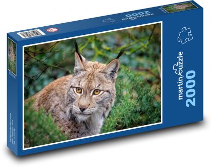 Eurasischer Luchs im Wald - Puzzle - 2000 Teile