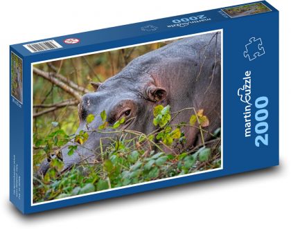 Odpočívající hroch nilský - puzzle 2000 dílků