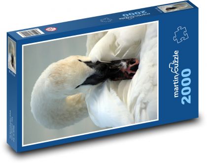 Bílá labuť  - puzzle 2000 dílků