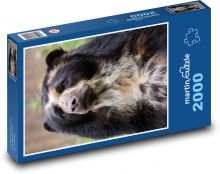 Andský medvěd Puzzle 2000 - 90x60 cm