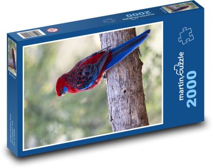 Rozela Pennantova - Australian parrot - Puzzle 2000 pieces, size 90x60 cm 
