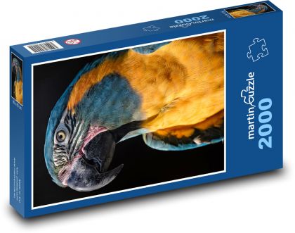 Papagáj - vták - Puzzle 2000 dielikov, rozmer 90x60 cm 