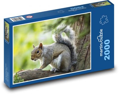 Eichhörnchen auf einem Baum - Puzzle - 2000 Teile