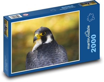 Gyrfalcon - Falke - Puzzle - 2000 Teile
