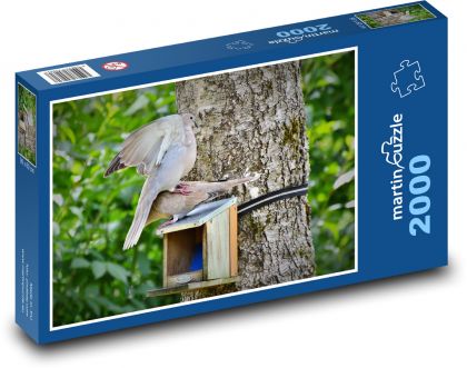 Taube - Taube, Vogel - Puzzle - 2000 Teile