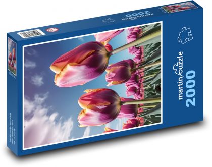 Lila Tulpen - Frühlingsblumen - Puzzle - 2000 Teile
