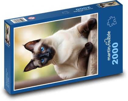 Siamská mačka - domáce zviera, zviera - Puzzle 2000 dielikov, rozmer 90x60 cm 