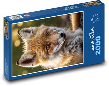 Lesná zver - líška - Puzzle 2000 dielikov, rozmer 90x60 cm 