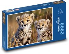 Kurčatá gepardov Puzzle 2000 dielikov - 90 x 60 cm