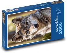 Wolf cub Puzzle 2000 pieces - 90 x 60 cm