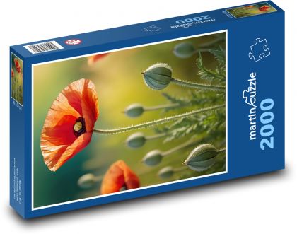 Květ vlčího máku - Puzzle 2000 dílků, rozměr 90x60 cm