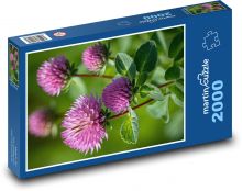 Květy jetele na louce Puzzle 2000 - 90x60 cm