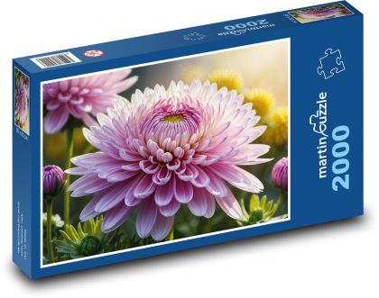 Chryzantéma - záhradný kvet - Puzzle 2000 dielikov, rozmer 90x60 cm 
