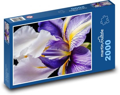 Duhovka - letní květina - puzzle 2000 dílků