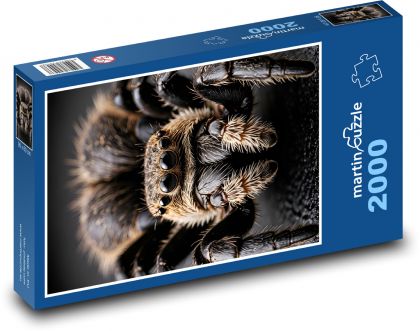 Tarantula - veľký pavúk - Puzzle 2000 dielikov, rozmer 90x60 cm 