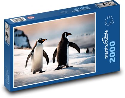 Tučňáci v Antarktidě - Puzzle 2000 dílků, rozměr 90x60 cm
