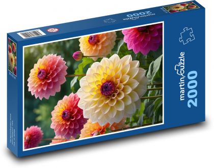 Kwiaty - dalie, ogród - Puzzle 2000 elementów, rozmiar 90x60 cm