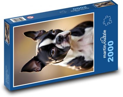 Bostonský teriér  - Puzzle 2000 dílků, rozměr 90x60 cm