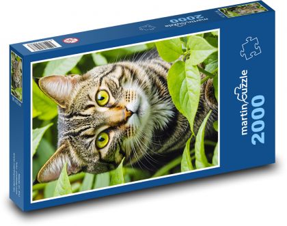 Cat in the garden - Puzzle 2000 pieces, size 90x60 cm 