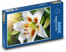 Rozkvetlá bílá lilie Puzzle 2000 dílků - 90 x 60 cm