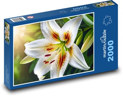 Rozkvetlá bílá lilie - Puzzle 2000 dílků, rozměr 90x60 cm