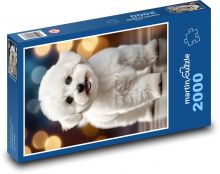 Pes - bichon, mazlíček Puzzle 2000 dílků - 90 x 60 cm