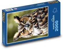 Sova - pták, zvíře Puzzle 2000 - 90x60 cm