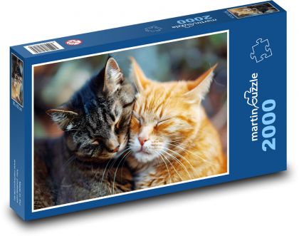 Katzen - Freunde, Haustier - Puzzle - 2000 Teile