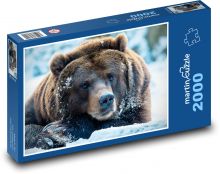 Medvěd hnědý - zvíře, savec Puzzle 2000 - 90x60 cm