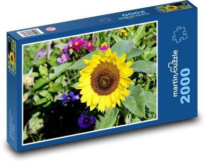 Yellow sunflower - flower in the field, flower - Puzzle 2000 pieces, size 90x60 cm 