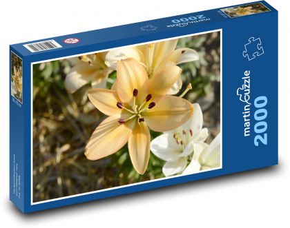 Żółta lilia - letni kwiat, kwiat w ogrodzie - Puzzle 2000 elementów, rozmiar 90x60 cm