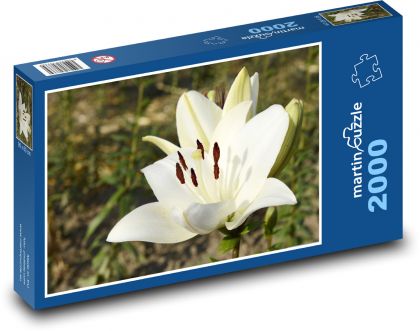 Kwiat białej lilii - kwiat w ogrodzie, piękny kwiat - Puzzle 2000 elementów, rozmiar 90x60 cm